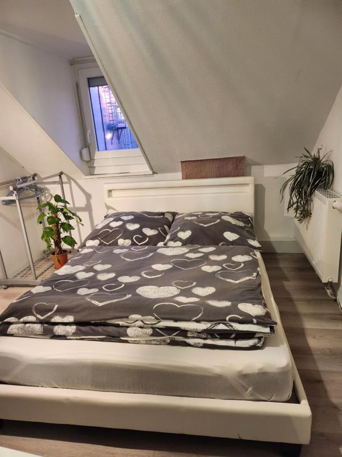 Gästezimmer Sakowski Lägenhet Lörrach Exteriör bild